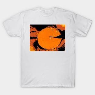 Fanta Pad T-Shirt